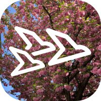 Murmuras GmbH (@murmurastech) 's Twitter Profile