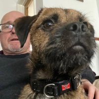 Voice of Brac (@chippa47) 's Twitter Profile