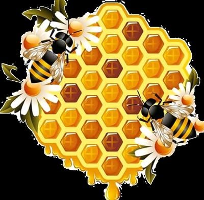 We are hobbyist beekeepers based in Walsall, West Midlands. suppliers of  100 % Raw wildflower Honey, Bee nucs, equipment and also swarm collection.