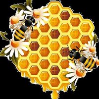 By The Bees Knees Honey Bees(@Bythebeesknees) 's Twitter Profile Photo