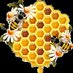 By The Bees Knees Honey Bees (@Bythebeesknees) Twitter profile photo