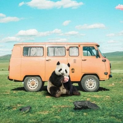 Satendra__ss's profile picture. Love to write code ❤️