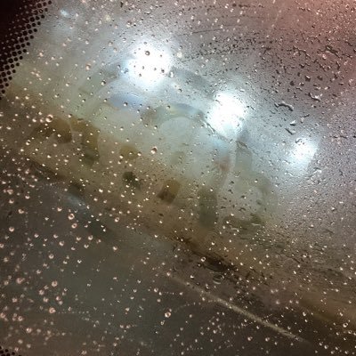 ly_umy's profile picture. 