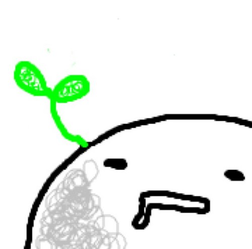 あおい