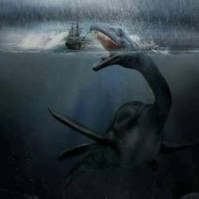 FFGameing3's profile picture. 