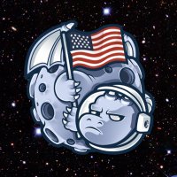 Dragonchain 🇺🇸(@dragonchain) 's Twitter Profile Photo