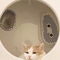 おしゃまなオジャマムシ (@liselotte_dolce) 's Twitter Profile
