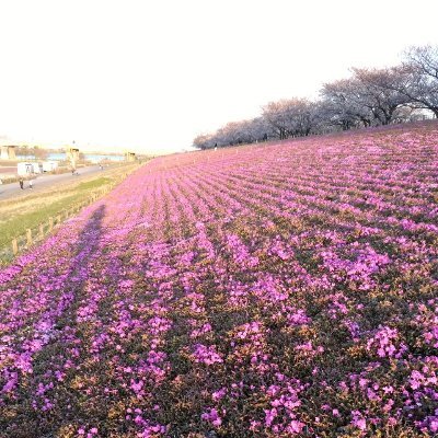 どうぞよろしくお願いいたします。