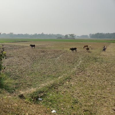 SharifA34067799's profile picture. Python Enthusiast
❤️ Django and flask