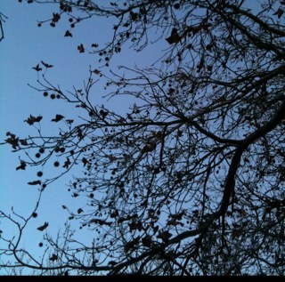 DemDashwood's profile picture. Girl around Melb town. I make other ppls creative projects work, including dabbling in my own. + a Mum:)