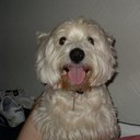 David kearley - @Steamnut - Twitter