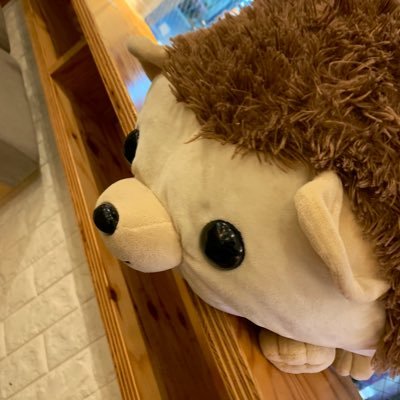 2jka3L's profile picture. 25↑東宝組/J.A🐬/S.K🪽