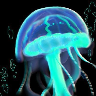 くらげとおるさんのプロフィール画像