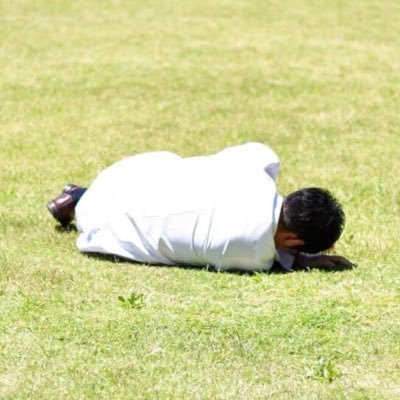 ハヤシ 今クラ 4進捗75 ゆがんでいます おかしい 何かが コロシアムの ポケモン死語コンテスト Twitter ハヤシ 今クラ 4進捗75 ゆがんでいます おかしい 何かが コロシアムの ポケモン死語コンテスト Twitter