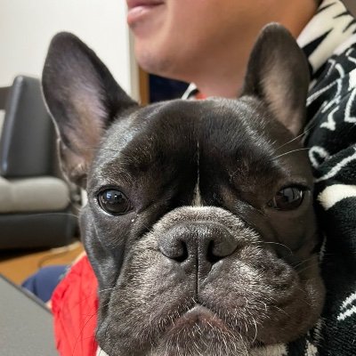 3O5ccbccCN7nXbO's profile picture. 