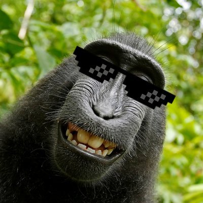 IamDatheo's profile picture. passionate about Tech, VR, gaming, music & Drawing