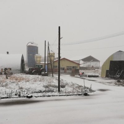 GHqfrg8PiCkFNIS's profile picture. 