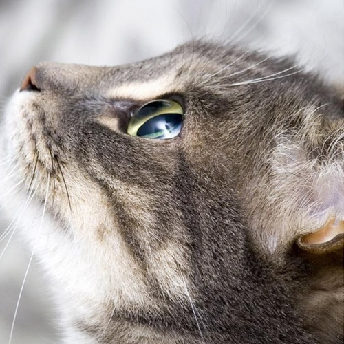 leeic100's profile picture. 