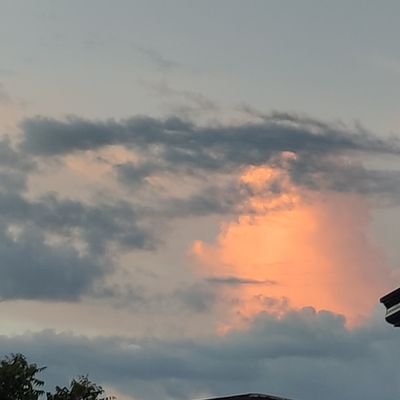sekertss's profile picture. 