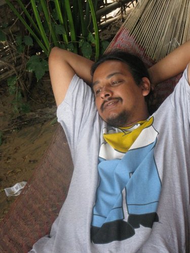 amitsharma's profile picture. 