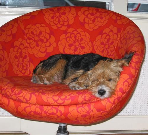 Julie_Eenstroom's profile picture. 