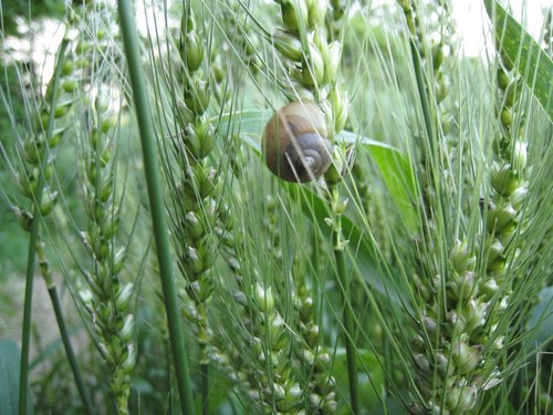 doubleright's profile picture. Take a Nap!