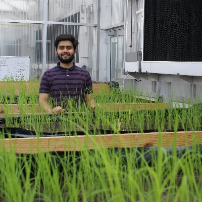 PhD student @LSUAgcenter #Agronomy #PlantBreeding BSc Biotechnology @PAU_LDH Abiotic Stress Breeding (Rice and Soybean)