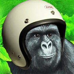 GreenTranspor13's profile picture. Volter in Eindhoven

I am a student from Eindhoven with a great interest in mobility, which spans from automotive heritage to sustainability of motorsports.