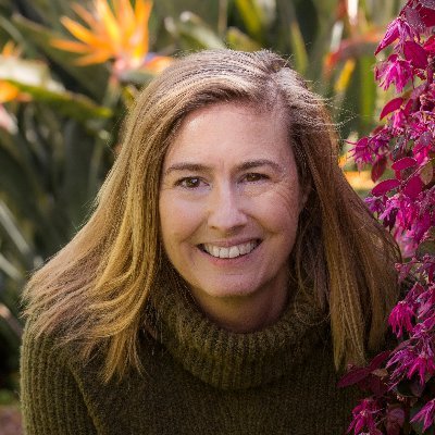 ADHD & Anxiety Coach, not-so-perfect mom, writer. I offer solutions, sanity and humor --because kids! #parentcoach #parenting #blogger #ADHD #ANXIETY #2e