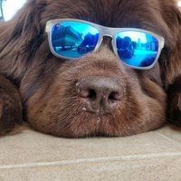 kyon (@limephgmailcom1) 's Twitter Profile