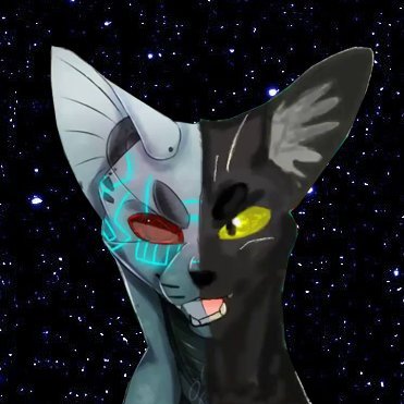 Catborg1's profile picture. 