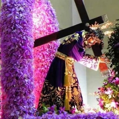 JavierF18055693's profile picture. el bienestar de mi pais