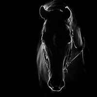 Murat Kubilay varli (@kubilalay_varli) Twitter profile photo