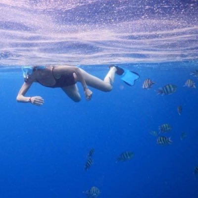 ElviraFalcucci's profile picture. 