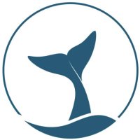 Mempool Whales 🐋 (@mempoolwhales) 's Twitter Profile Photo Mempool Whales 🐋 (@mempoolwhales) 's Twitter Profile Photo