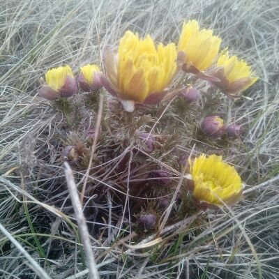 Olja25541553's profile picture. Мрію.У пошуку себе.