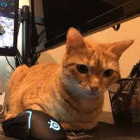 Andrés González (@_kyri3) 's Twitter Profile