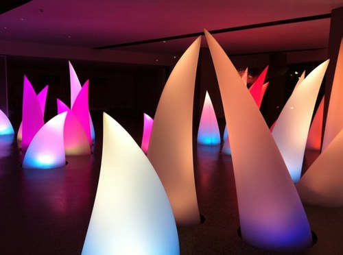 kimberwhitelion's profile picture. 