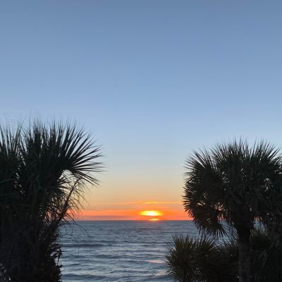 wx_nerds's profile picture. Hurricane and Severe WX Updates!