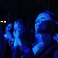 virginia pignagnoli (@vgnpgn) 's Twitter Profile Photo