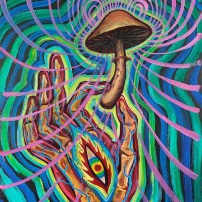 JulienG63943592's profile picture. Growing higher vibes in a pot