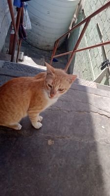 YasinM32797273's profile picture. yasin