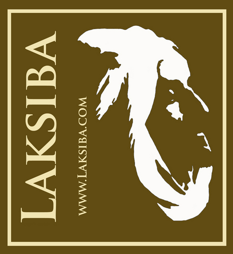 #Marrakech Morocco. I love cultural experiences. Owns Riad Laksiba Flashpacker guesthouse, luxury, on Flashpacking budget / family holiday rental in #Marrakesh.