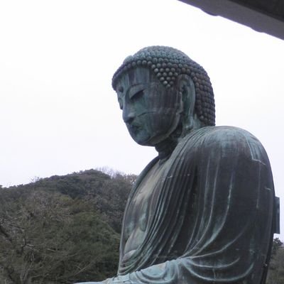 狼と一盃口さんのプロフィール画像