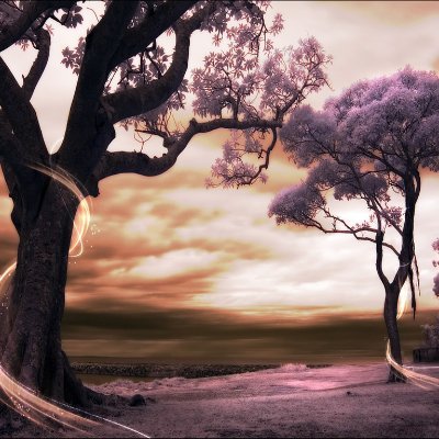 fraanciscco1's profile picture. 