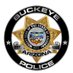 Buckeye Police Dept (@BuckeyeAZPD) Twitter profile photo