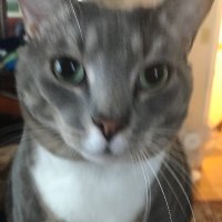 I was muted (@shuttemd) 's Twitter Profile