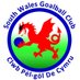 South Wales Goalball (@SWGoalball) Twitter profile photo