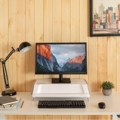 flexispot1's profile picture. 