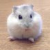 りょー (@ryo_nasidai) Twitter profile photo りょー (@ryo_nasidai) Twitter profile photo